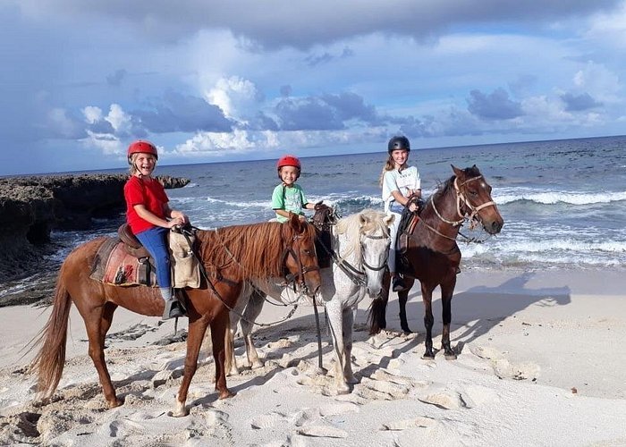 Aruba Countryside Horseback Adventure to Urirama Cove